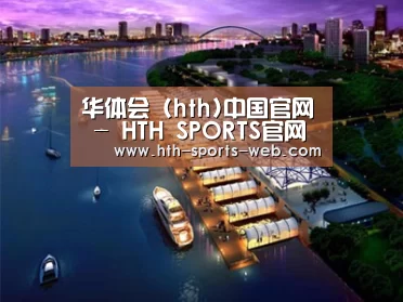案例展示八