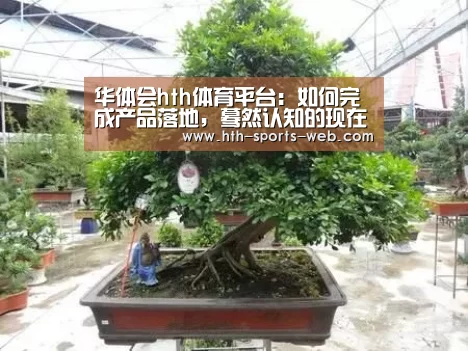华体会hth体育平台:如何完成产品落地,蓦然认知的现在与未来(图2) 华体会hth